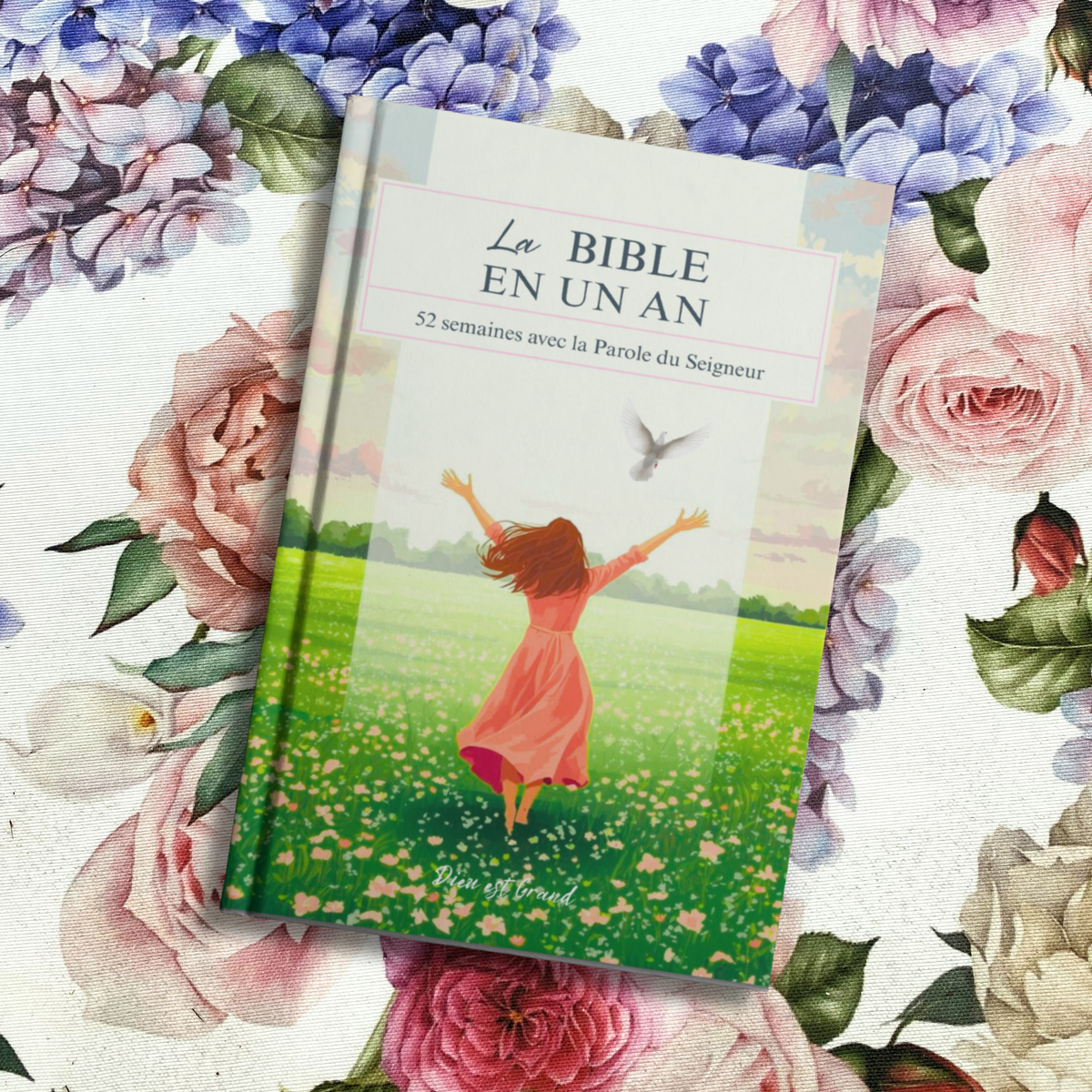 La Bible en un An: 10 Minutes par Jour avec la Parole du Seigneur